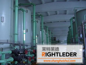 0.2噸/小時二級除鹽水設(shè)備 水資源專用機(jī)械設(shè)備制造與應(yīng)用